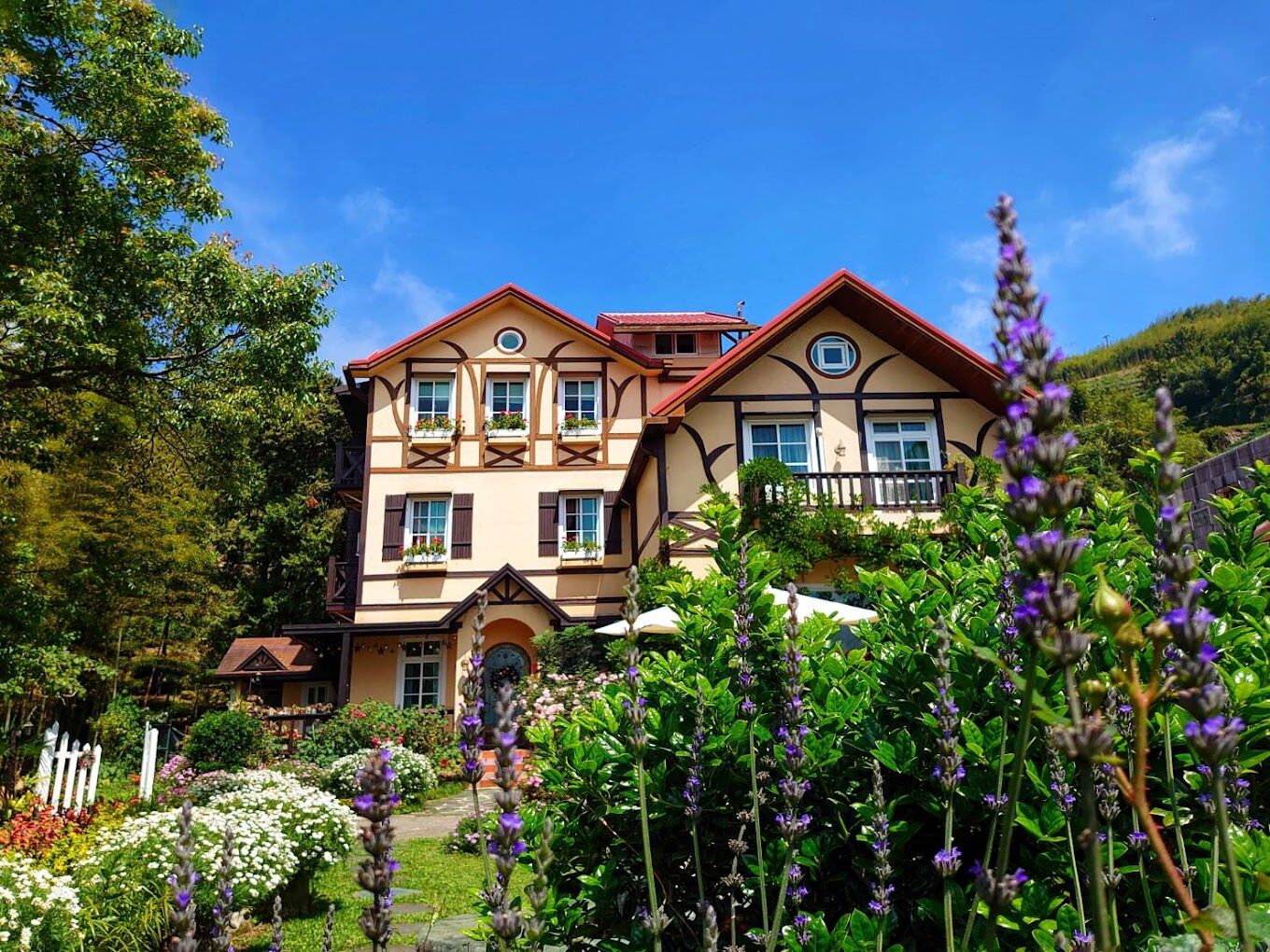 【2025】阿里山住宿推薦：必住的秘境民宿，避開旅遊陷阱！