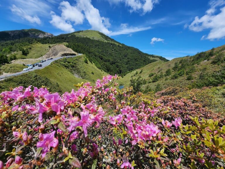合歡山旅遊攻略：必備提示和隱藏小景點推薦