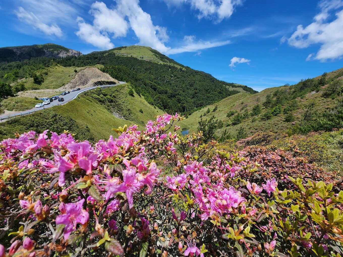 合歡山旅遊攻略：必備提示和隱藏小景點推薦