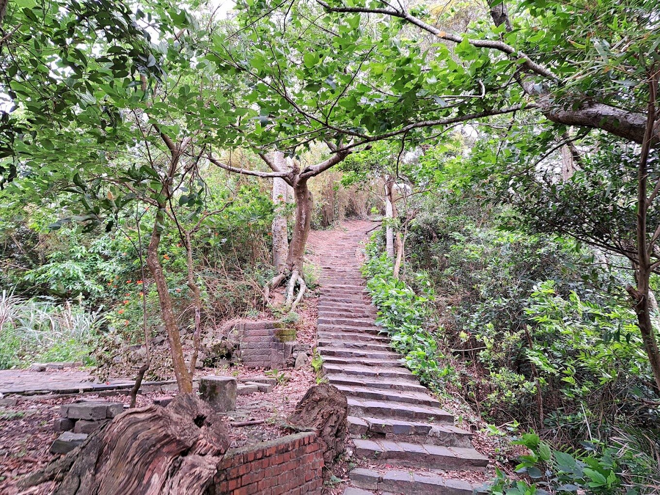 九芎湖九福步道景致優美，步道周邊充滿了農村人文氣息，適合慢活輕旅行。