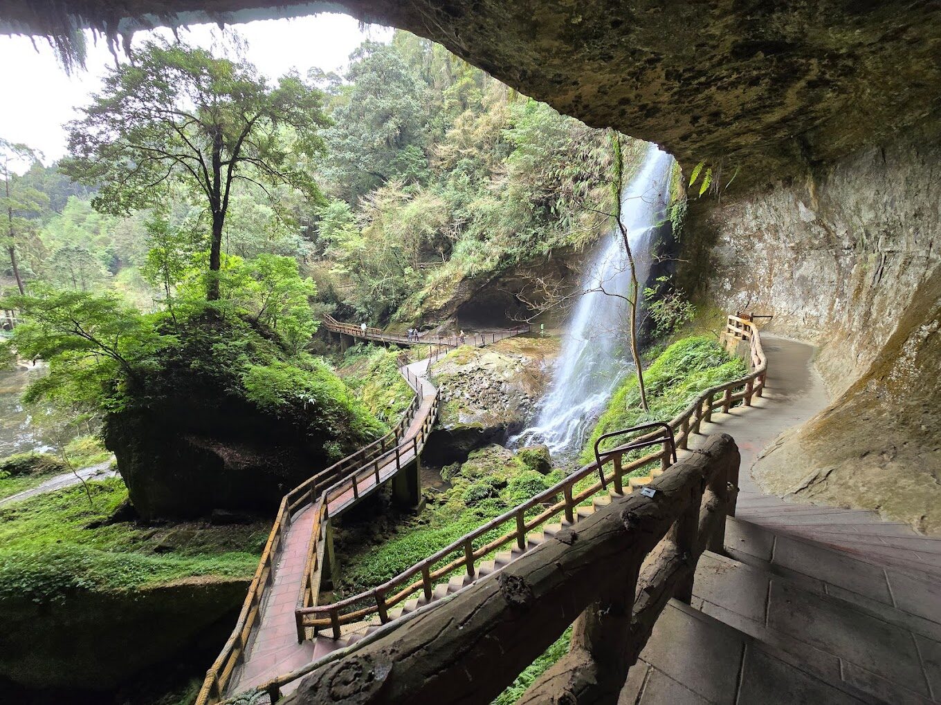 杉林溪必去景點大揭密｜避開人潮的悠閒步道推薦