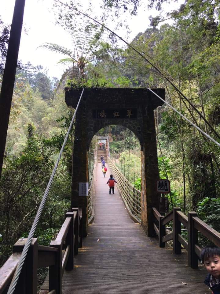 溪頭森林遊樂區：避開人潮的避暑秘境攻略