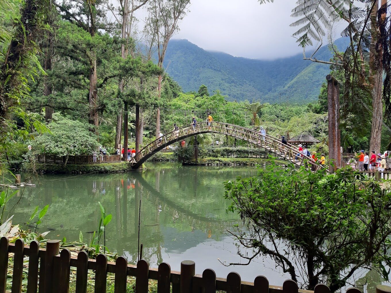 溪頭森林遊樂區：避開人潮的避暑秘境攻略