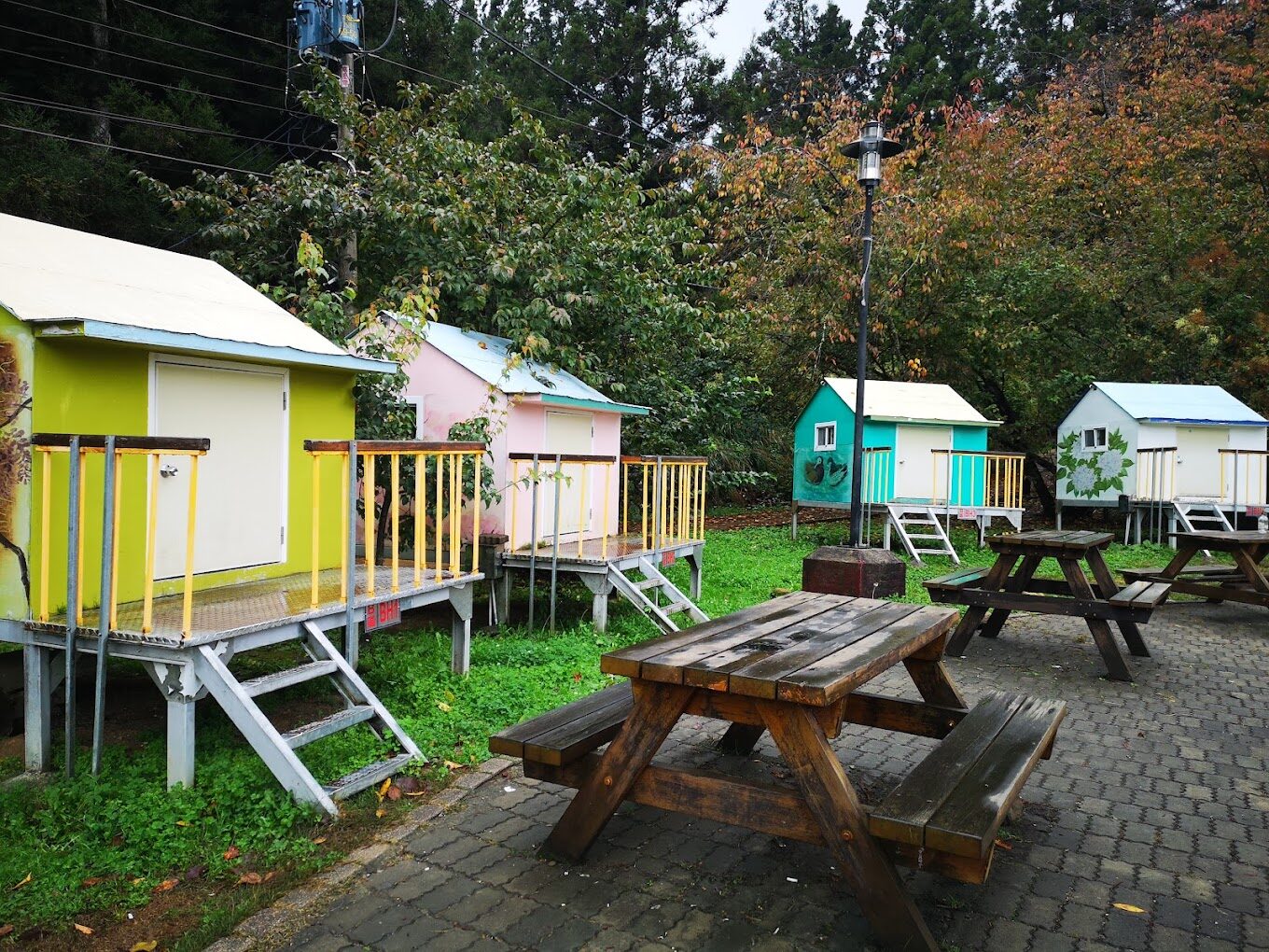 【2025】武陵農場必去景點與美食攻略｜不容錯過的體驗