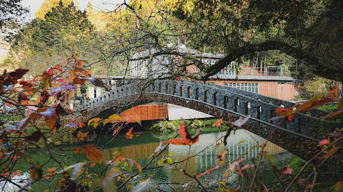 【2025】杉林溪住宿完全指南：避開踩雷的住宿選擇