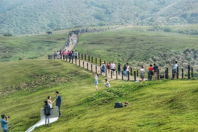 擎天崗旅遊攻略｜必訪景點與不可錯過的在地美食推薦