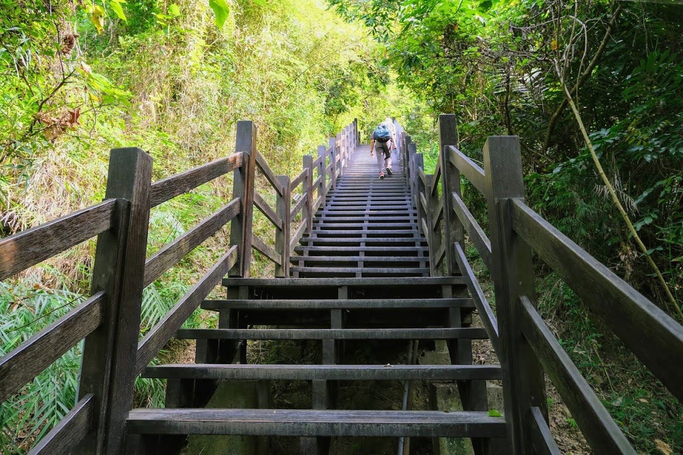 大坑步道不得不知的探索秘境｜地圖、景觀、美食全攻略