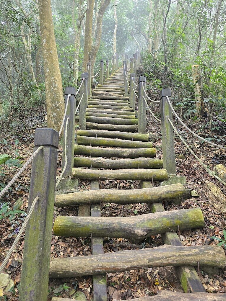 大坑步道不得不知的探索秘境｜地圖、景觀、美食全攻略