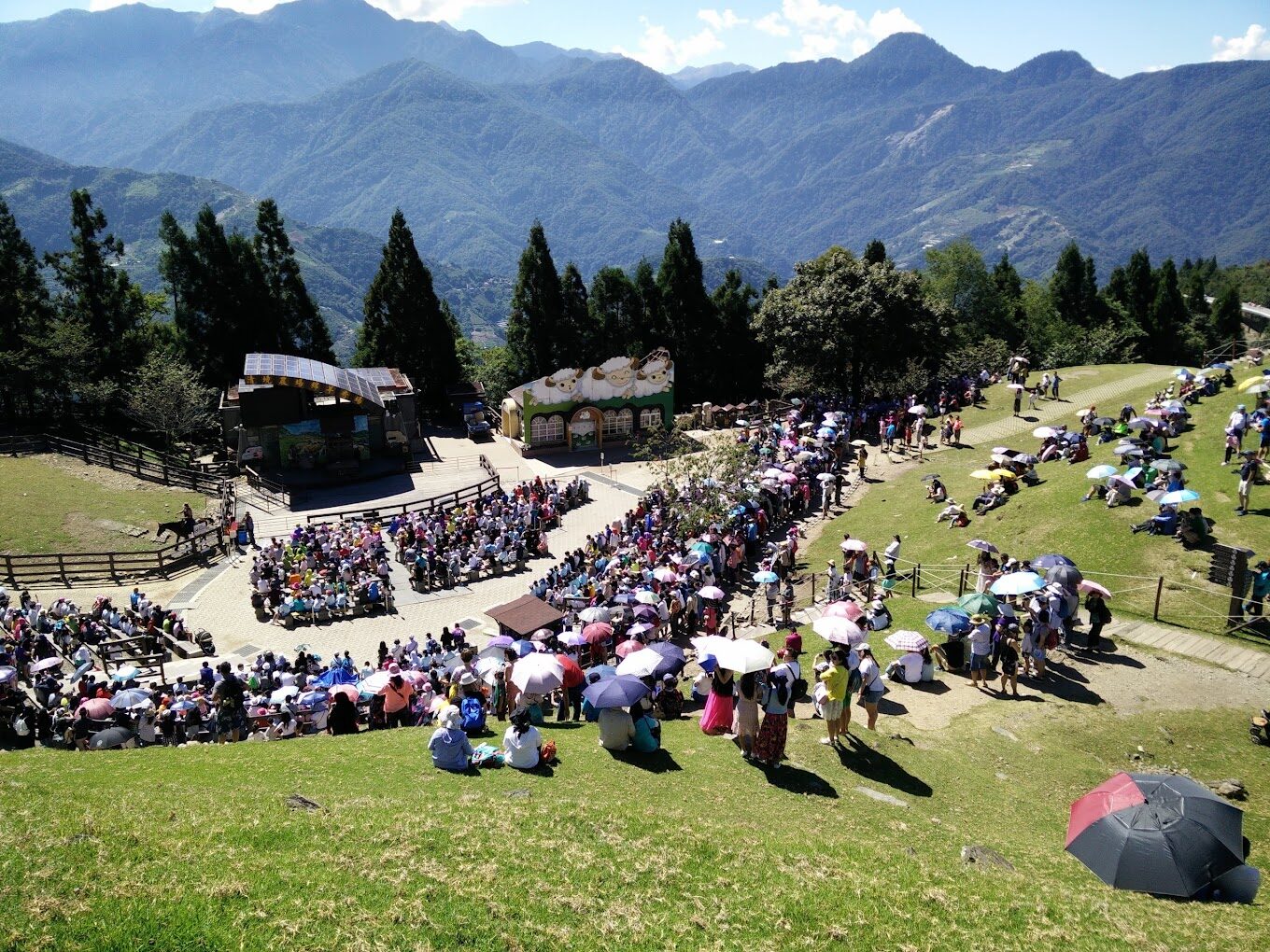 清境農場必遊攻略｜避開這旅遊陷阱，暢享絕美高山景致