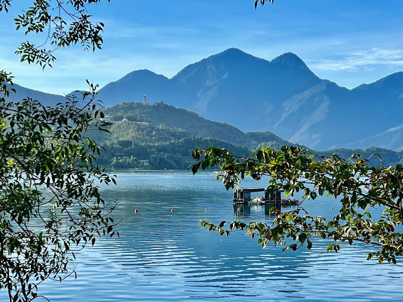 【2025最新】南投景點推薦｜避開人潮的秘境之旅