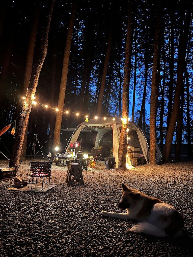 國姓露營區必知注意事項｜避免露營新手陷阱