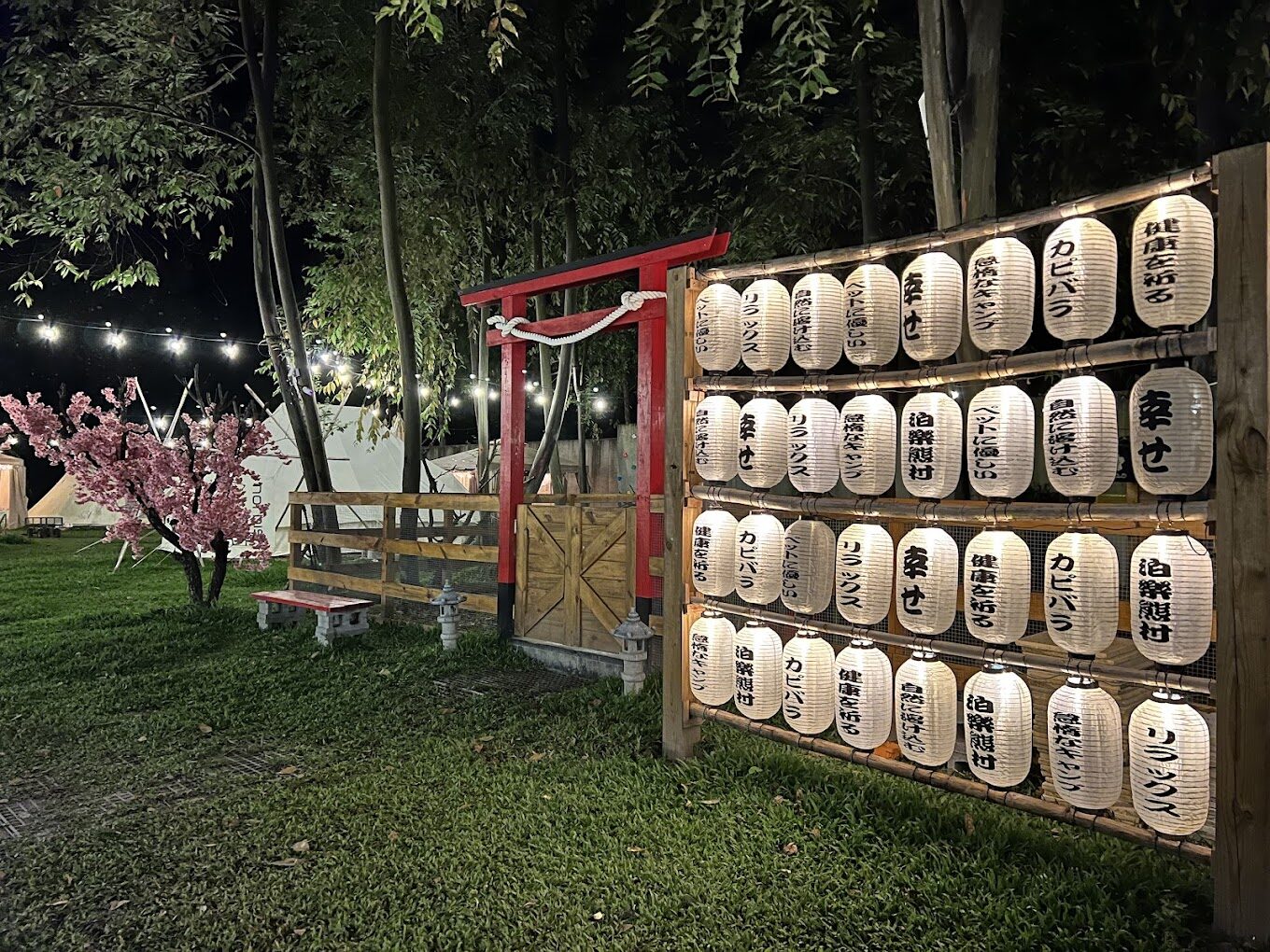 國姓露營區必知注意事項｜避免露營新手陷阱