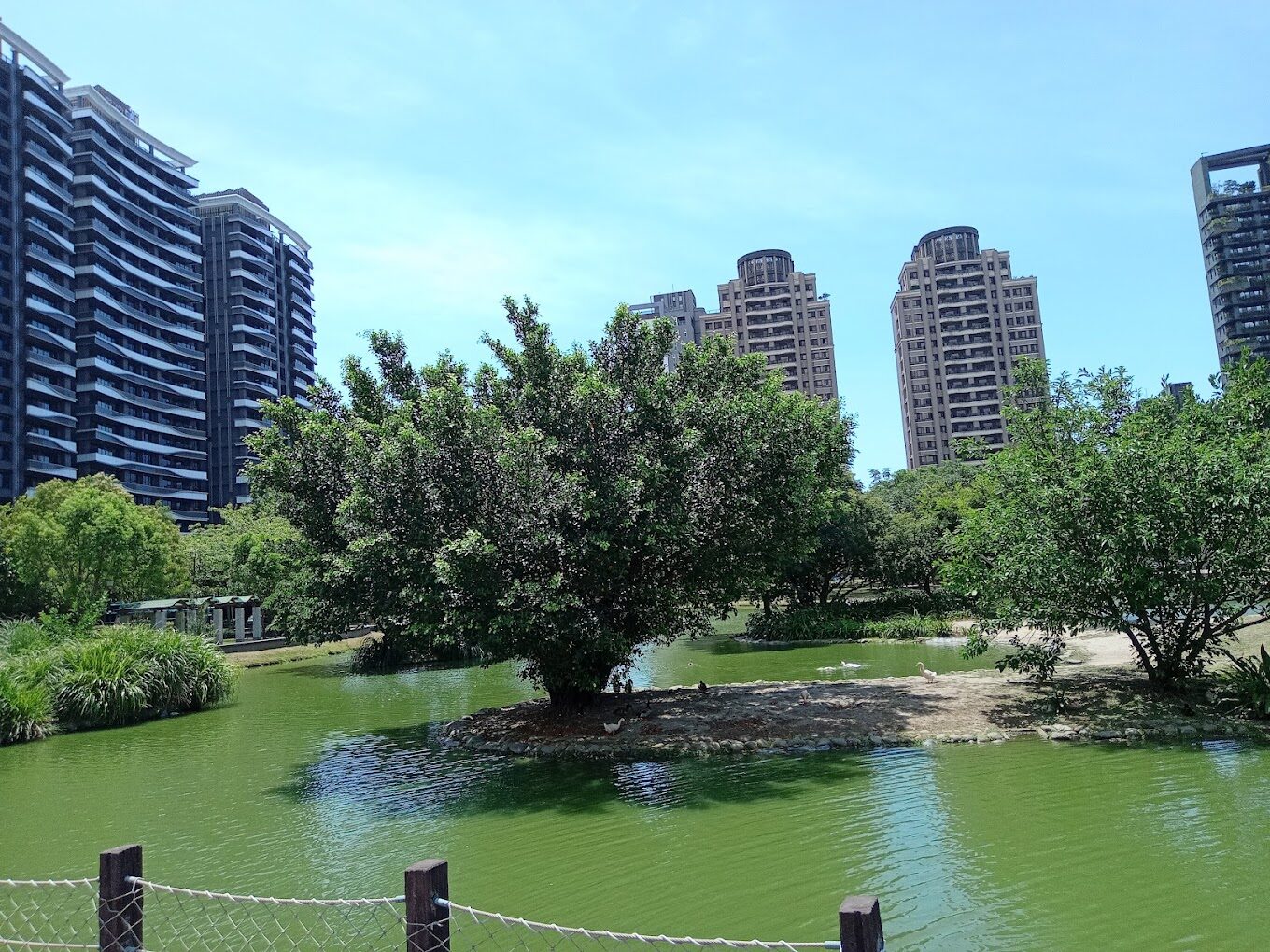 竹北水圳森林公園必遊景點｜尋找隱藏的自然秘境與周邊美食推薦