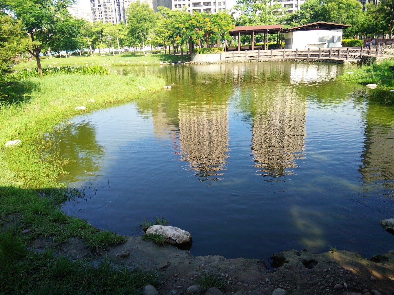 竹北水圳森林公園必遊景點｜尋找隱藏的自然秘境與周邊美食推薦