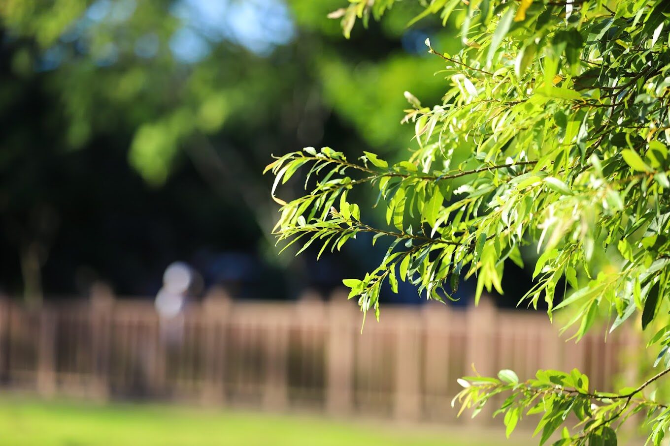 竹北水圳森林公園必遊景點｜尋找隱藏的自然秘境與周邊美食推薦