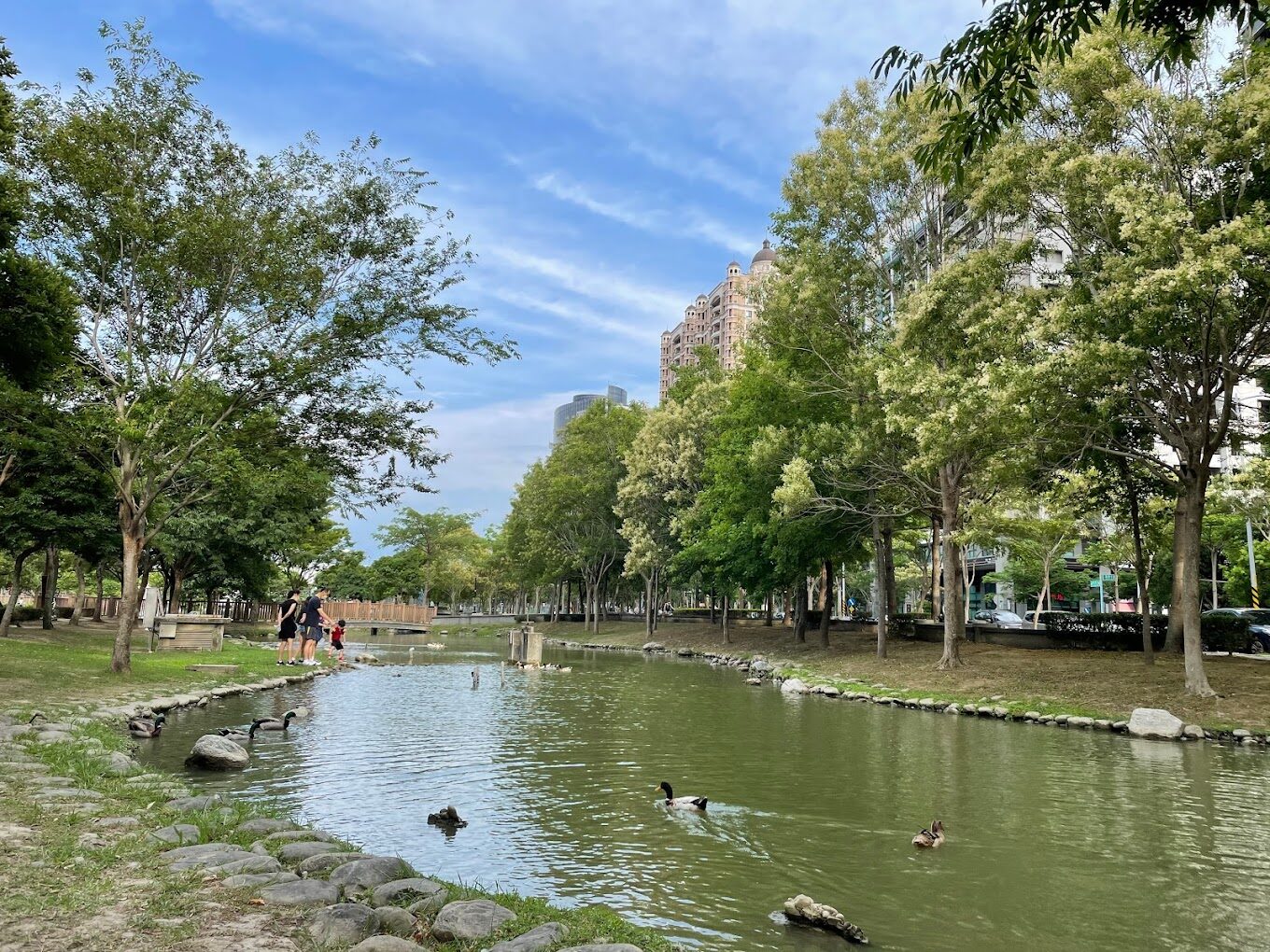 竹北水圳森林公園必遊景點｜尋找隱藏的自然秘境與周邊美食推薦