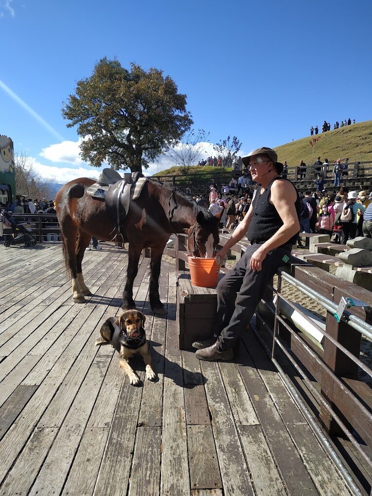 清境農場必看攻略：讓你意想不到的體驗