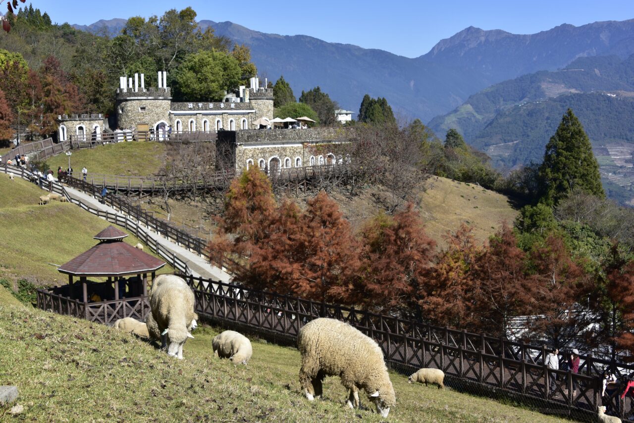 清境農場必看攻略：讓你意想不到的體驗