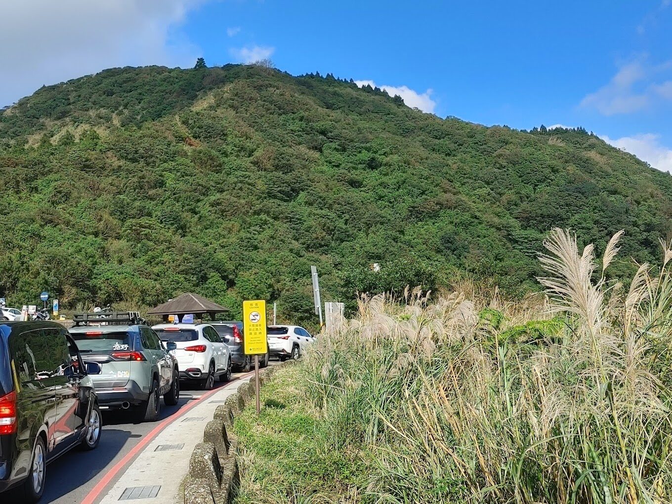 【2025】擎天崗附近的絕美步道推薦|行走在自然之間的最佳選擇