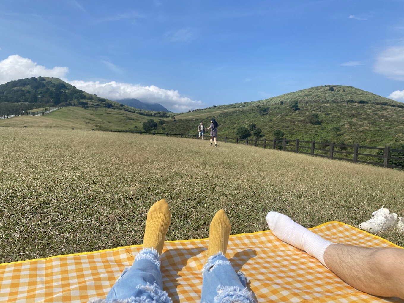 【2025】擎天崗附近的絕美步道推薦｜行走在自然之間的最佳選擇