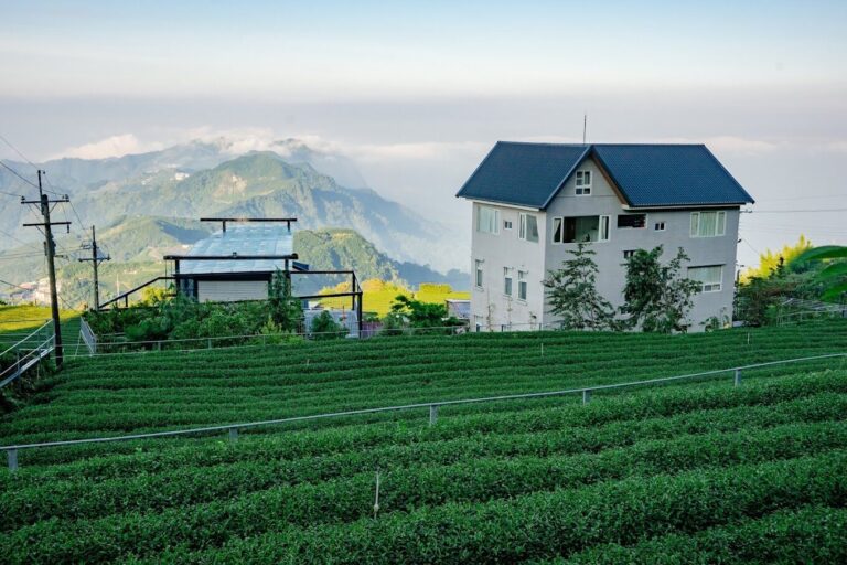 【2025】阿里山住宿推薦｜找出最貼心的住宿選擇