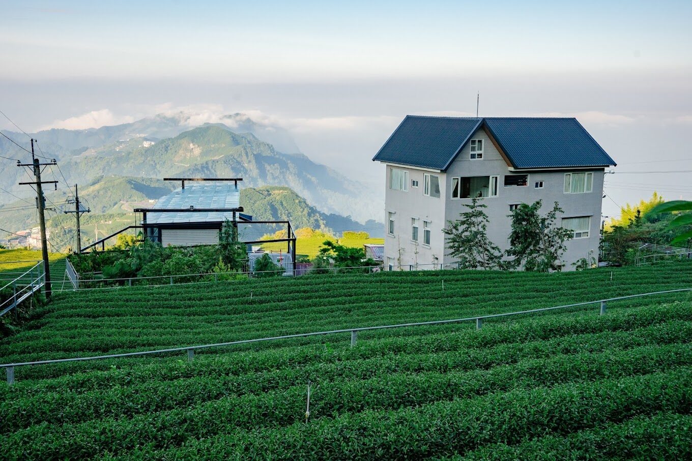 【2025】阿里山住宿推薦｜找出最貼心的住宿選擇