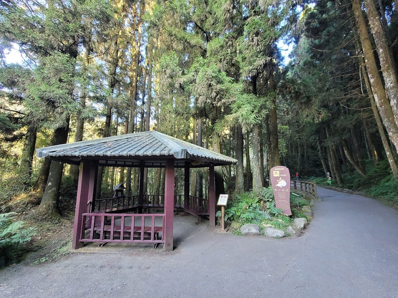 杉林溪大飯店避免踩雷！必知行程推薦