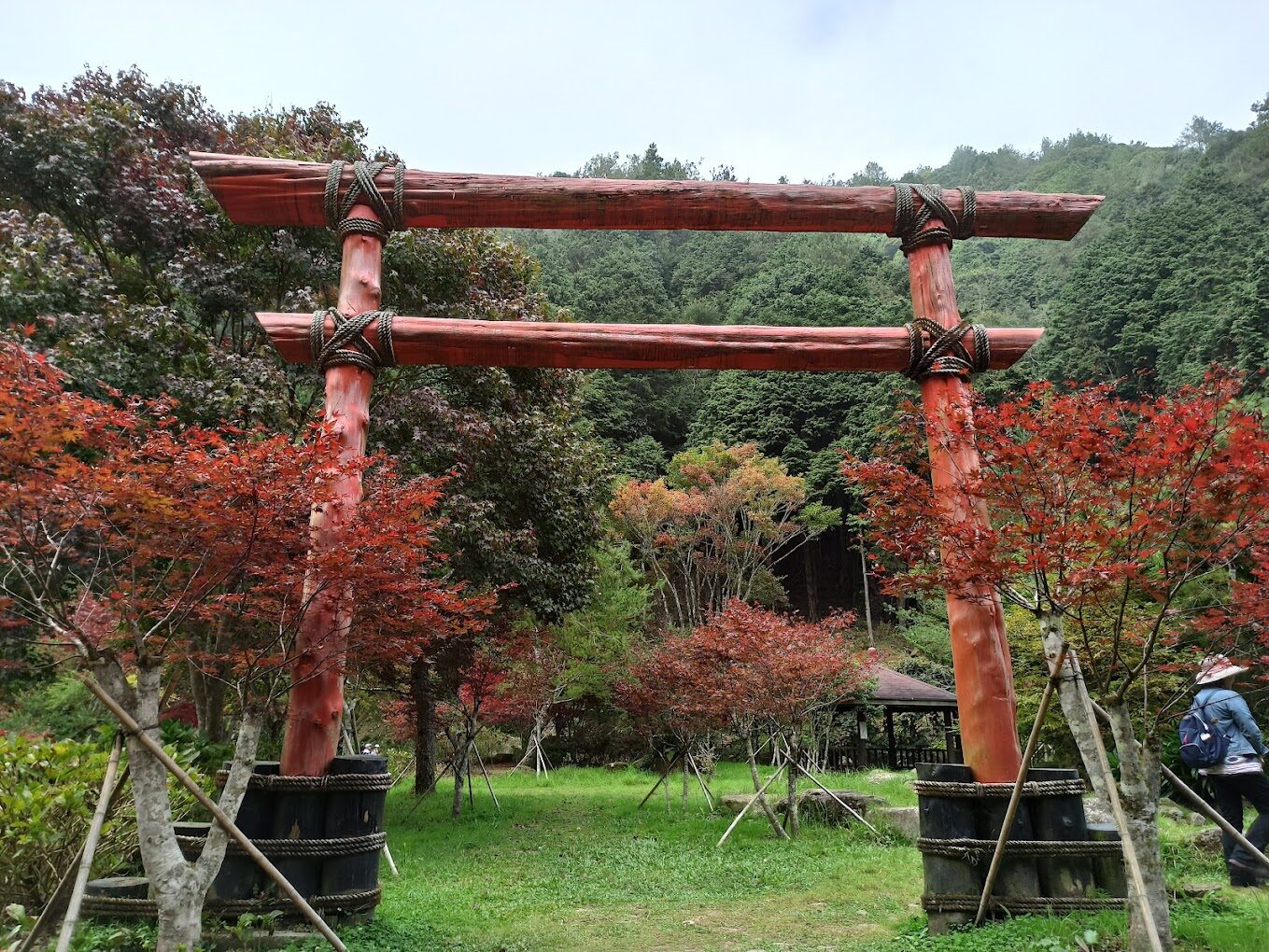 杉林溪大飯店避免踩雷！必知行程推薦