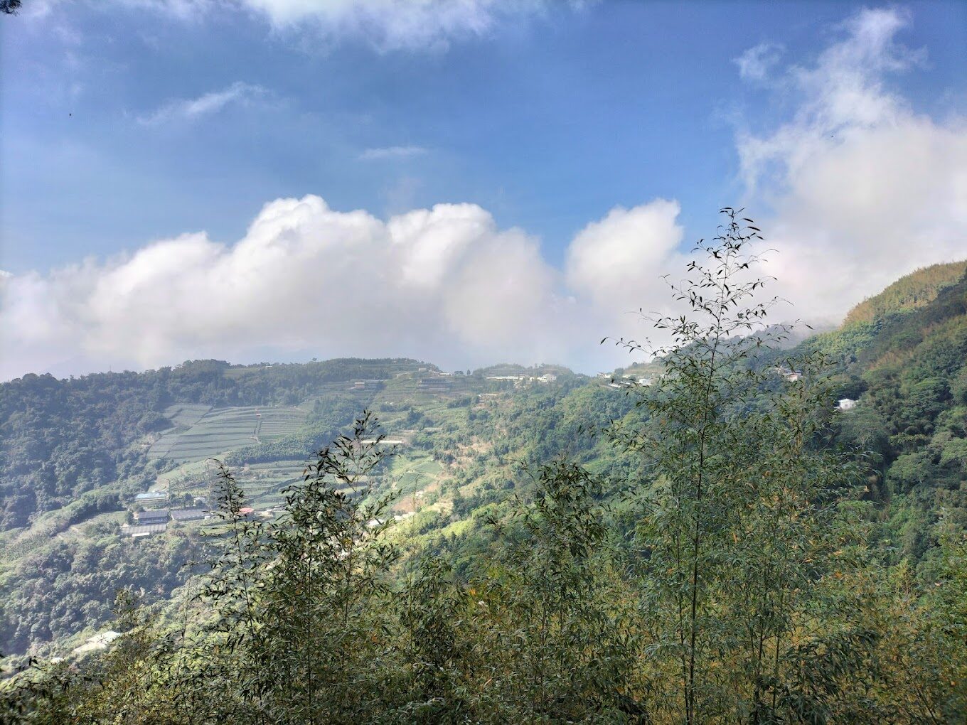 隙頂二延平步道探索：避開人潮的隱藏美景，如何規劃最完美行程？