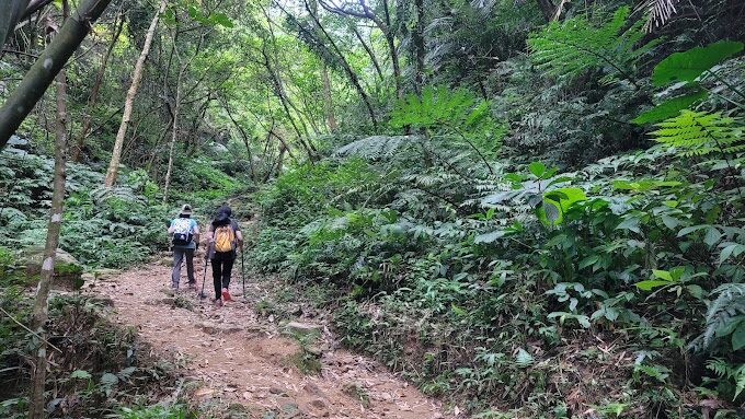 探索桃園石門山步道:行前必知的關鍵訊息