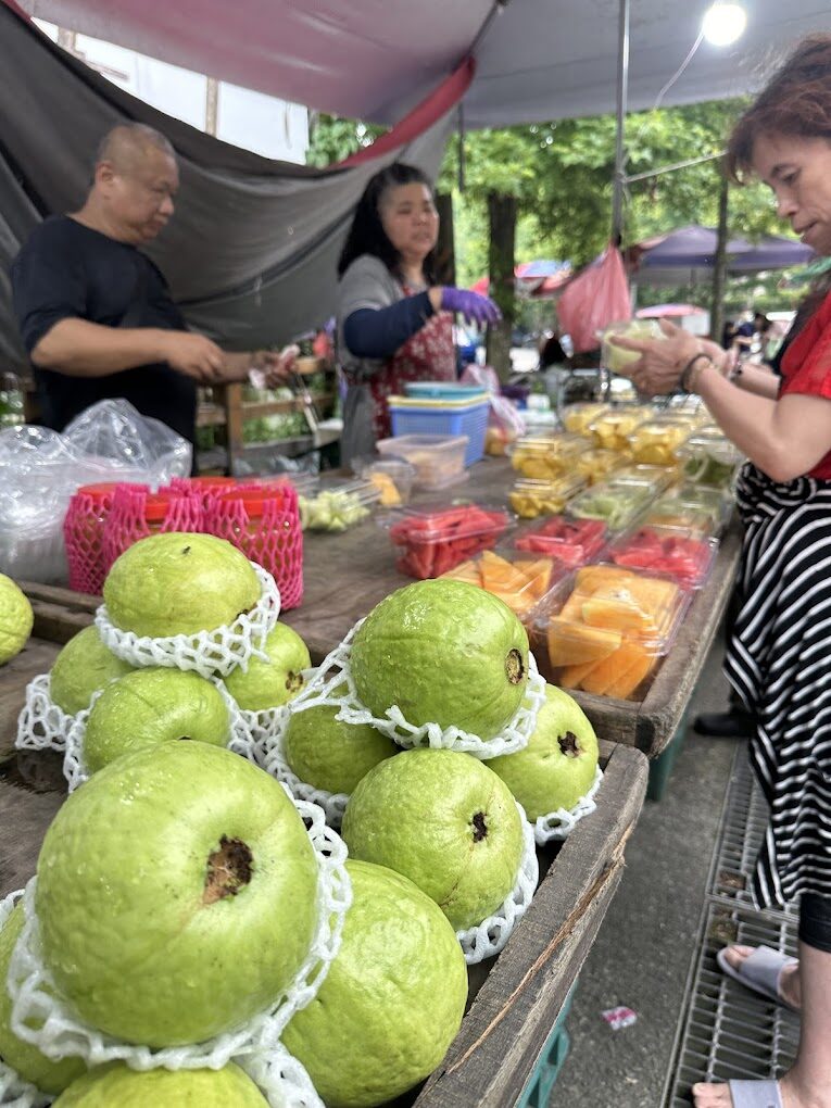 探索桃園石門山步道：行前必知的關鍵訊息