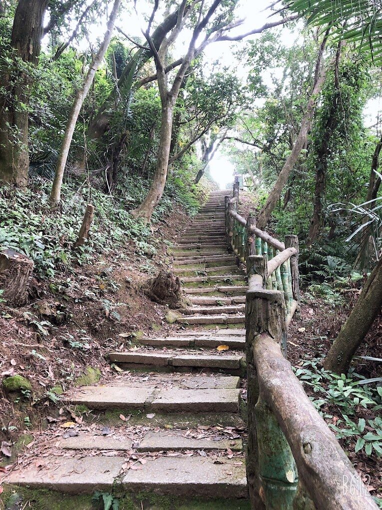 探索桃園石門山步道：行前必知的關鍵訊息