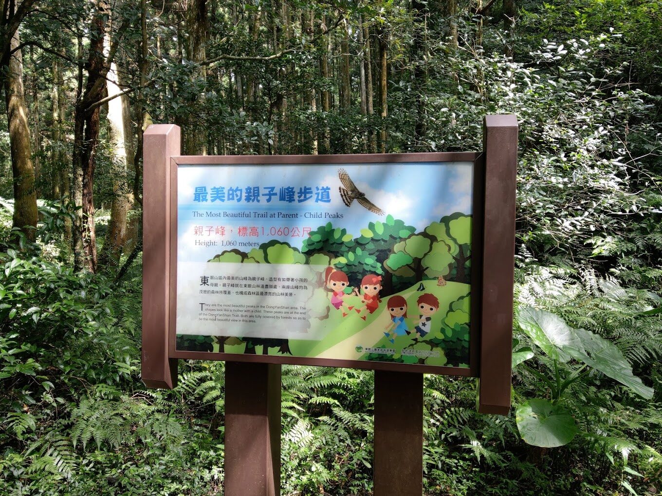 不容錯過的秘境探索｜東眼山森林遊樂區必去景點推薦