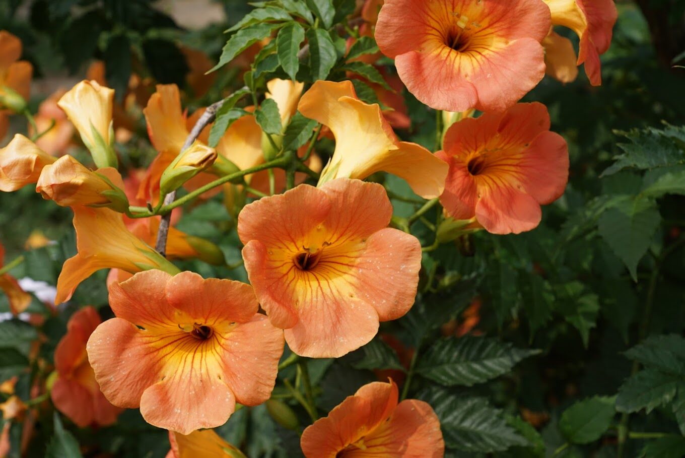 【2025】絕不能錯過的三芝景點！隱藏景點大公開