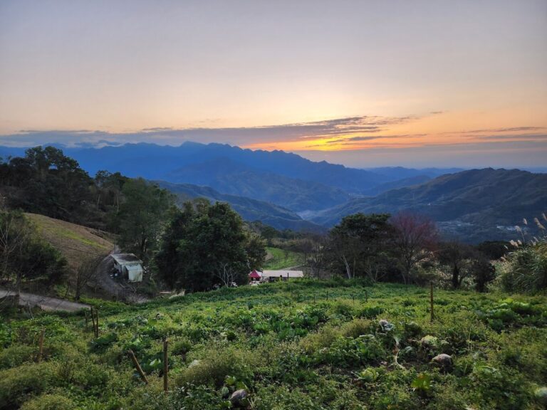 不容錯過的秘境探索｜東眼山森林遊樂區必去景點推薦
