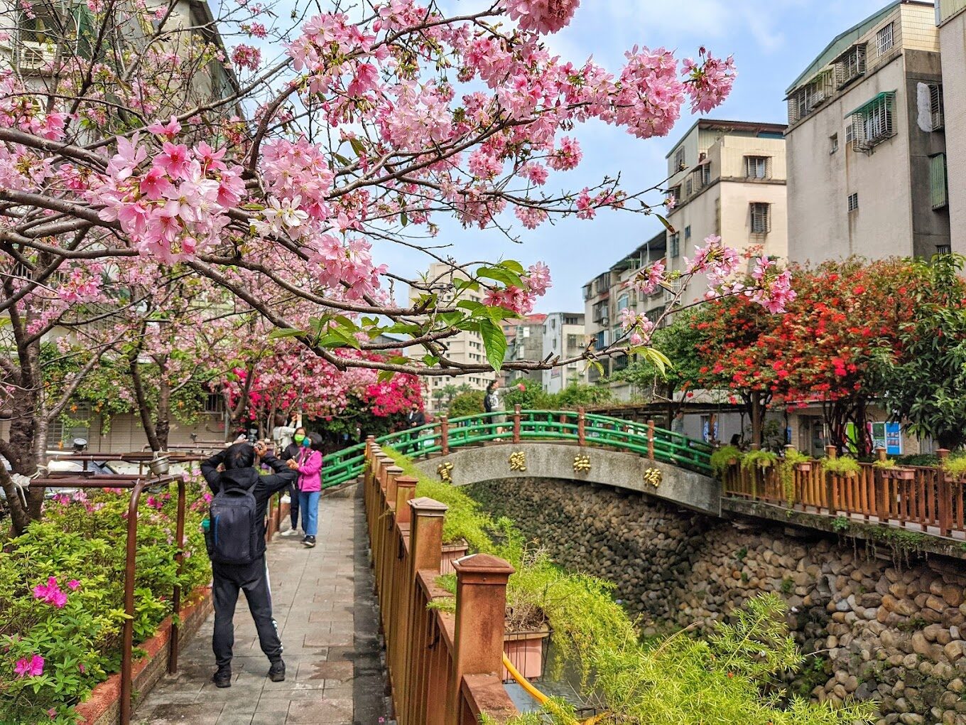 探索新北必去景點：你不可錯過的旅遊寶地