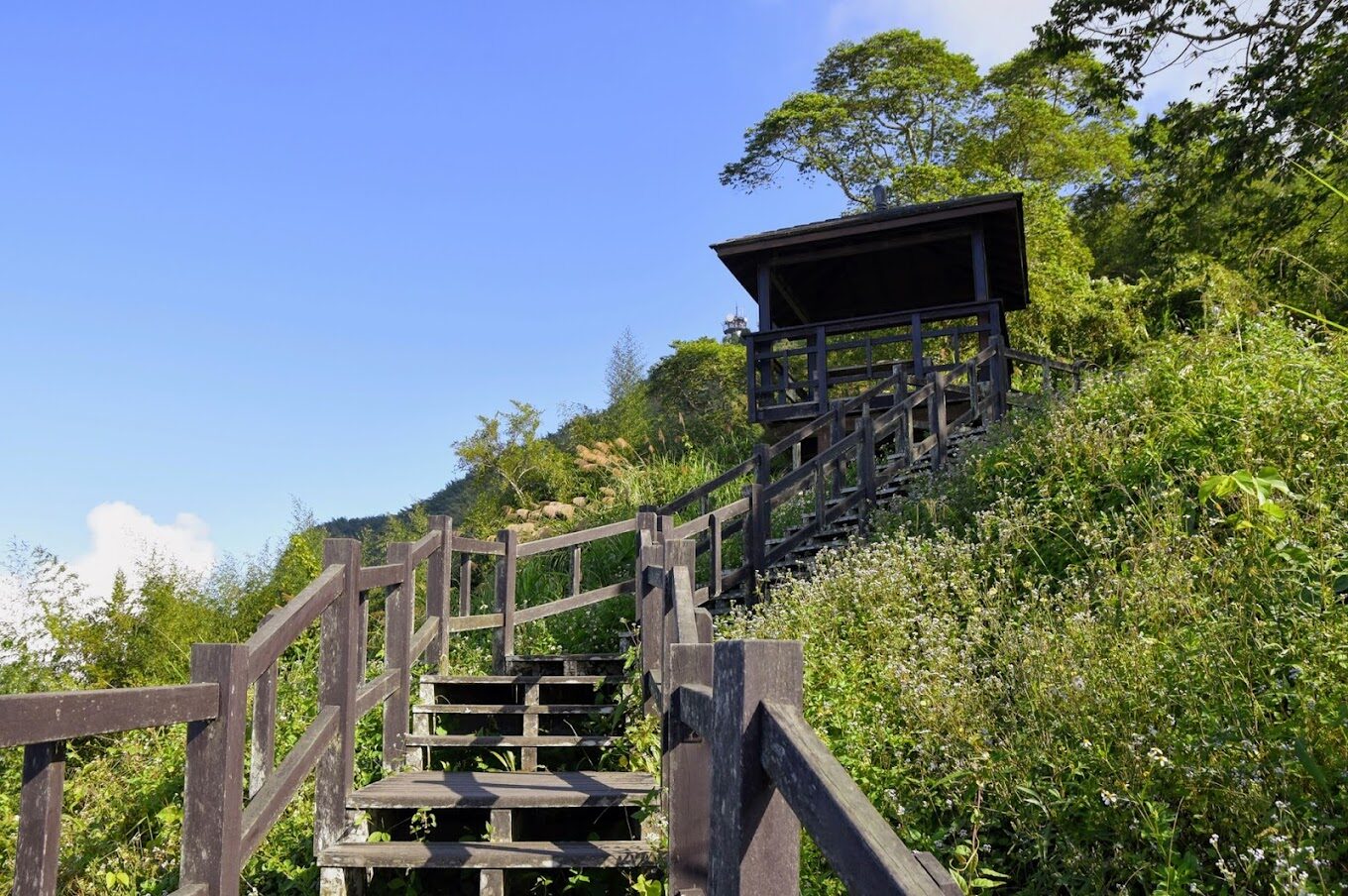 【2025】二延平步道：走訪台灣秘境的理由｜自然愛好者必看