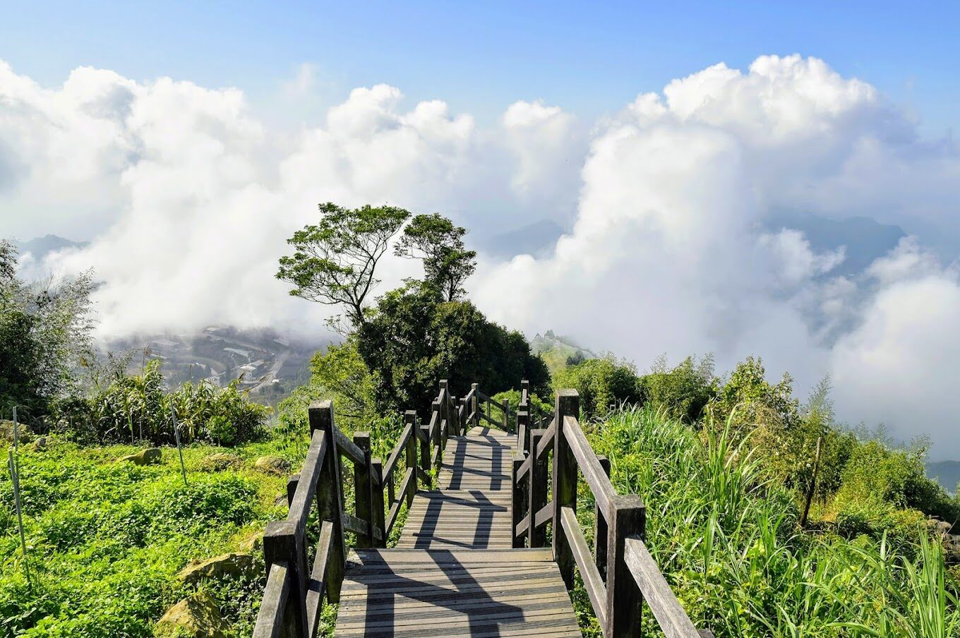 【2025】二延平步道：走訪台灣秘境的理由｜自然愛好者必看
