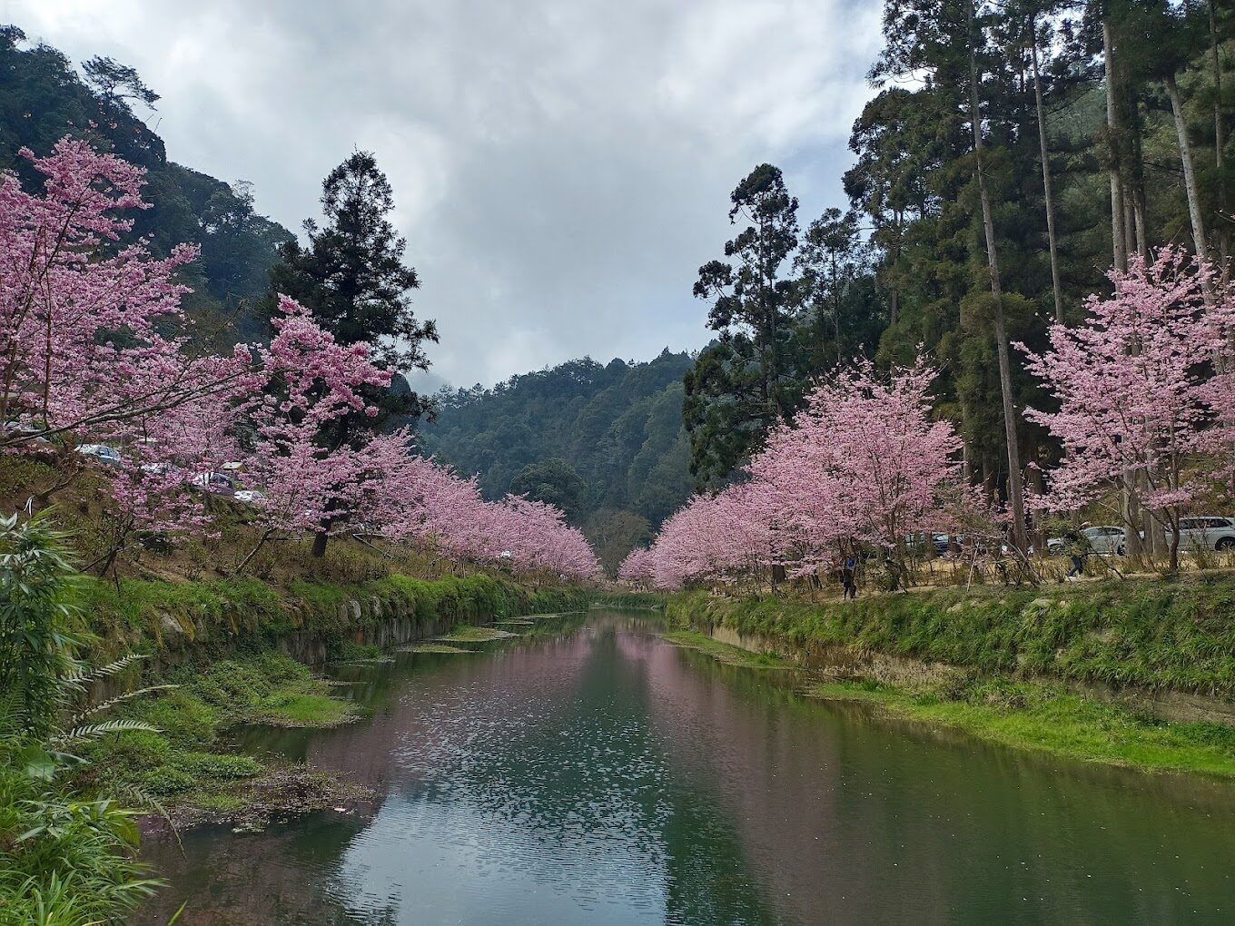 杉林溪大飯店必去理由｜避開旅遊雷區的指南