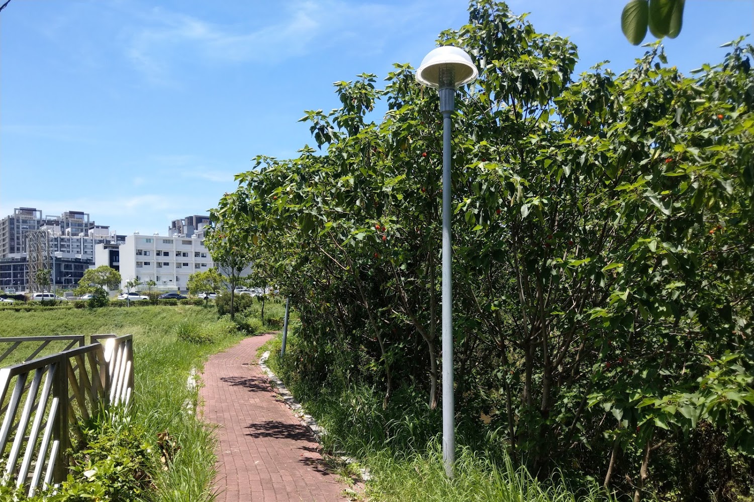 【2025】嘉義景點不容錯過的秘境