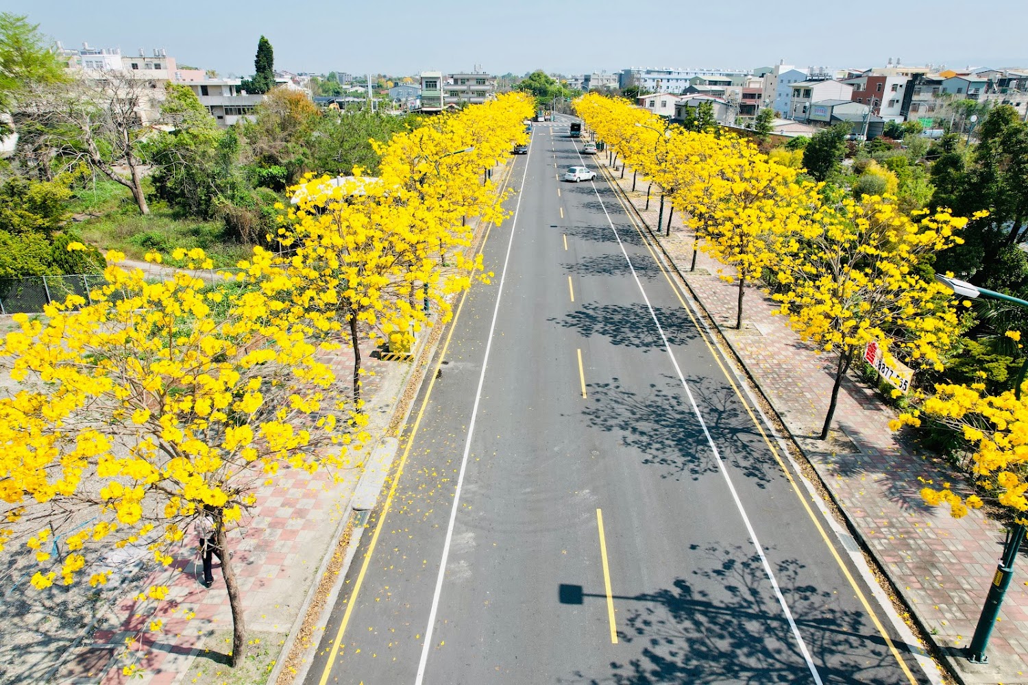 【2025】彰化必訪景點推薦｜探秘旅行者未曾發現的祕境