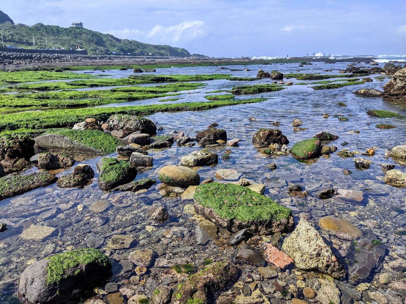 【2025】探索老梅綠石槽：不可錯過的3大潮汐奇觀｜潮間帶