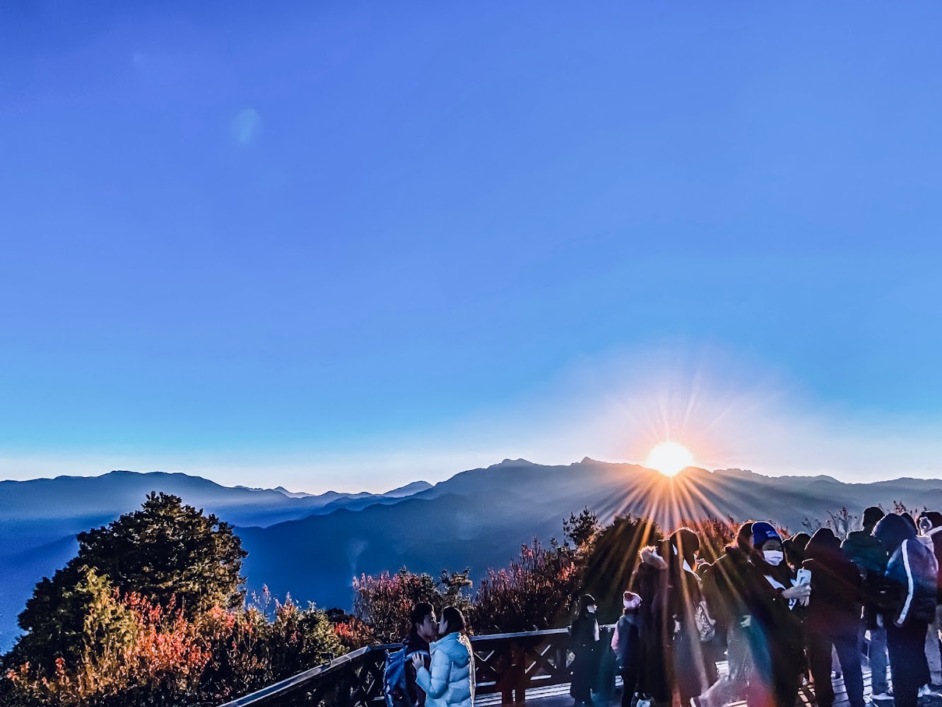 【2025】探索阿里山不可錯過的秘境｜避免走錯路的旅遊指南