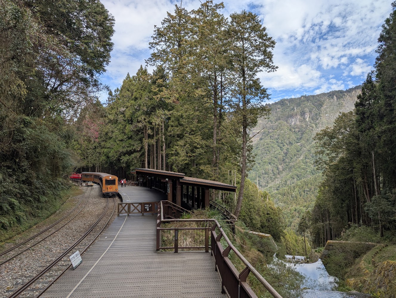 阿里山國家森林遊樂區