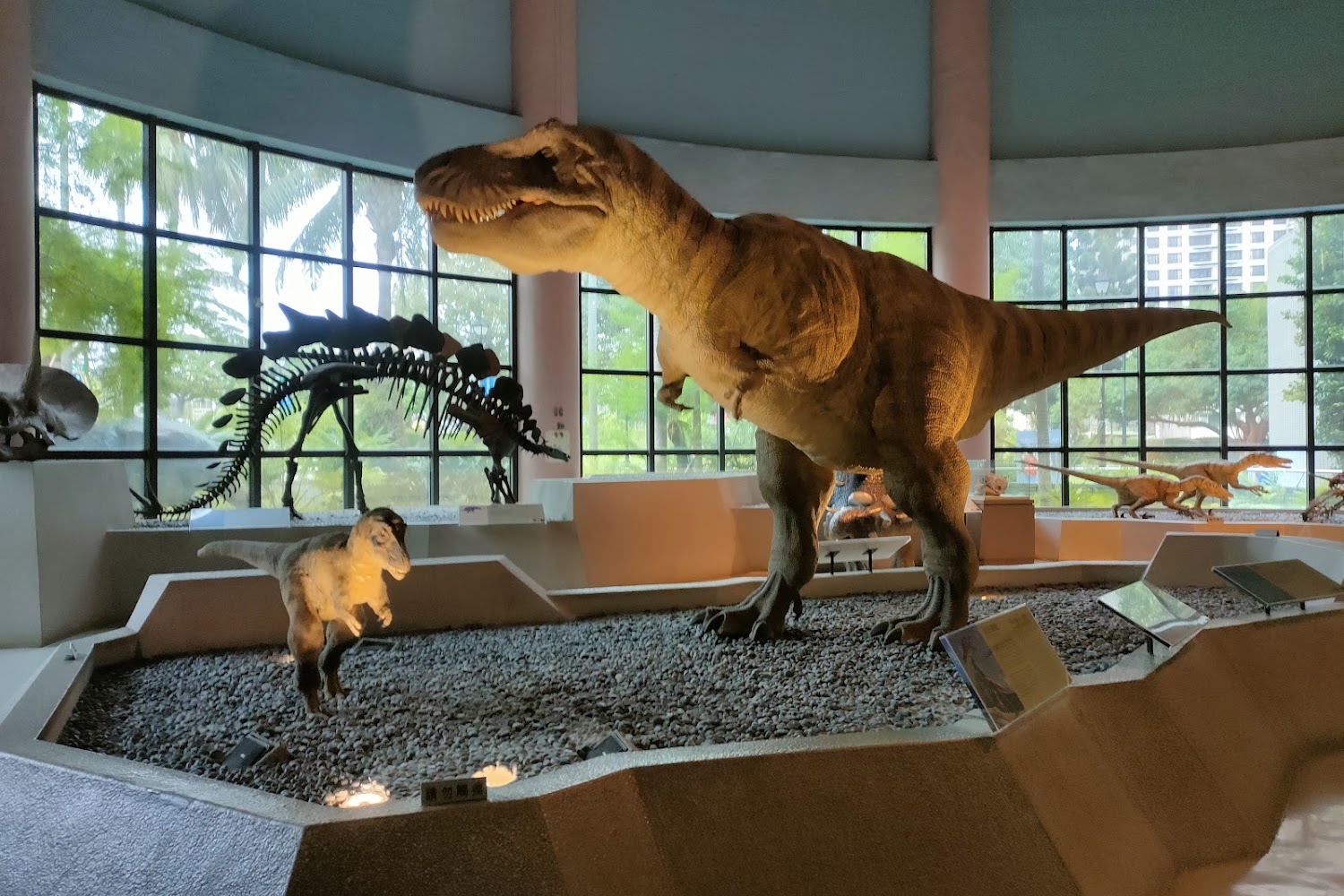 台中半日景點推薦｜2025年必遊的不容錯過地點