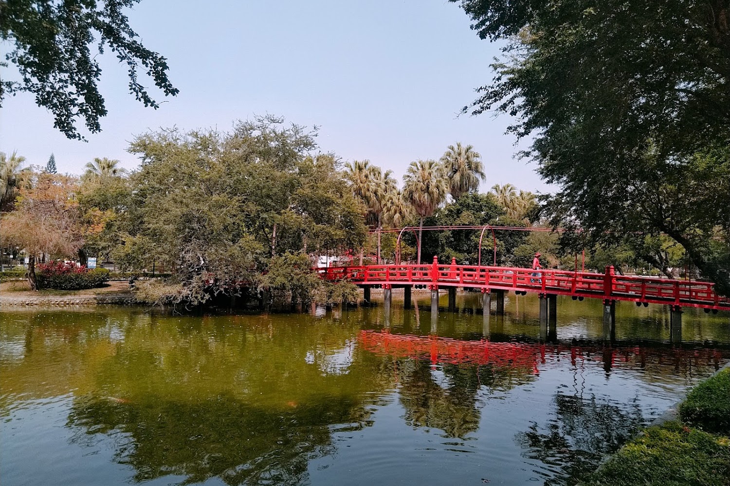 台中景點不容錯過！避開這常見旅遊陷阱，玩得盡興又安心