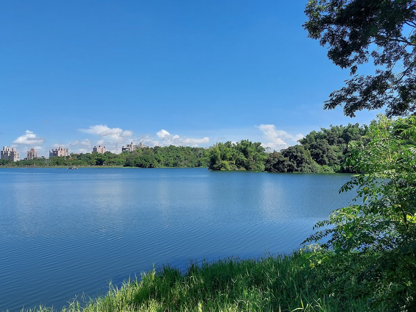 嘉義景點必去指南：2025年不容錯過的秘境