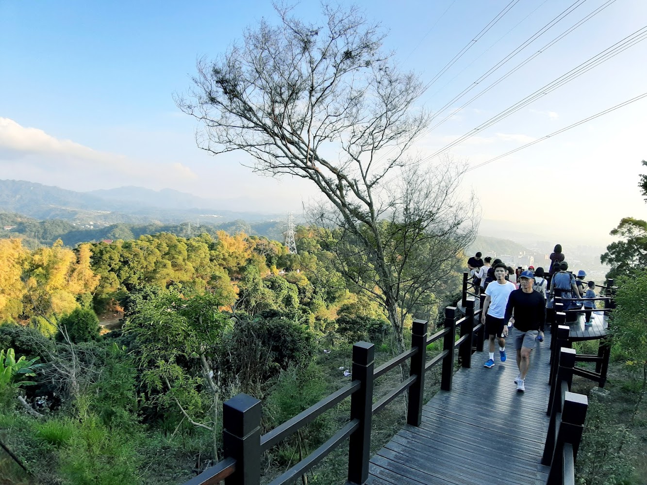 大坑步道必知的秘密｜避開這些錯誤，讓你的臺中之旅更完美