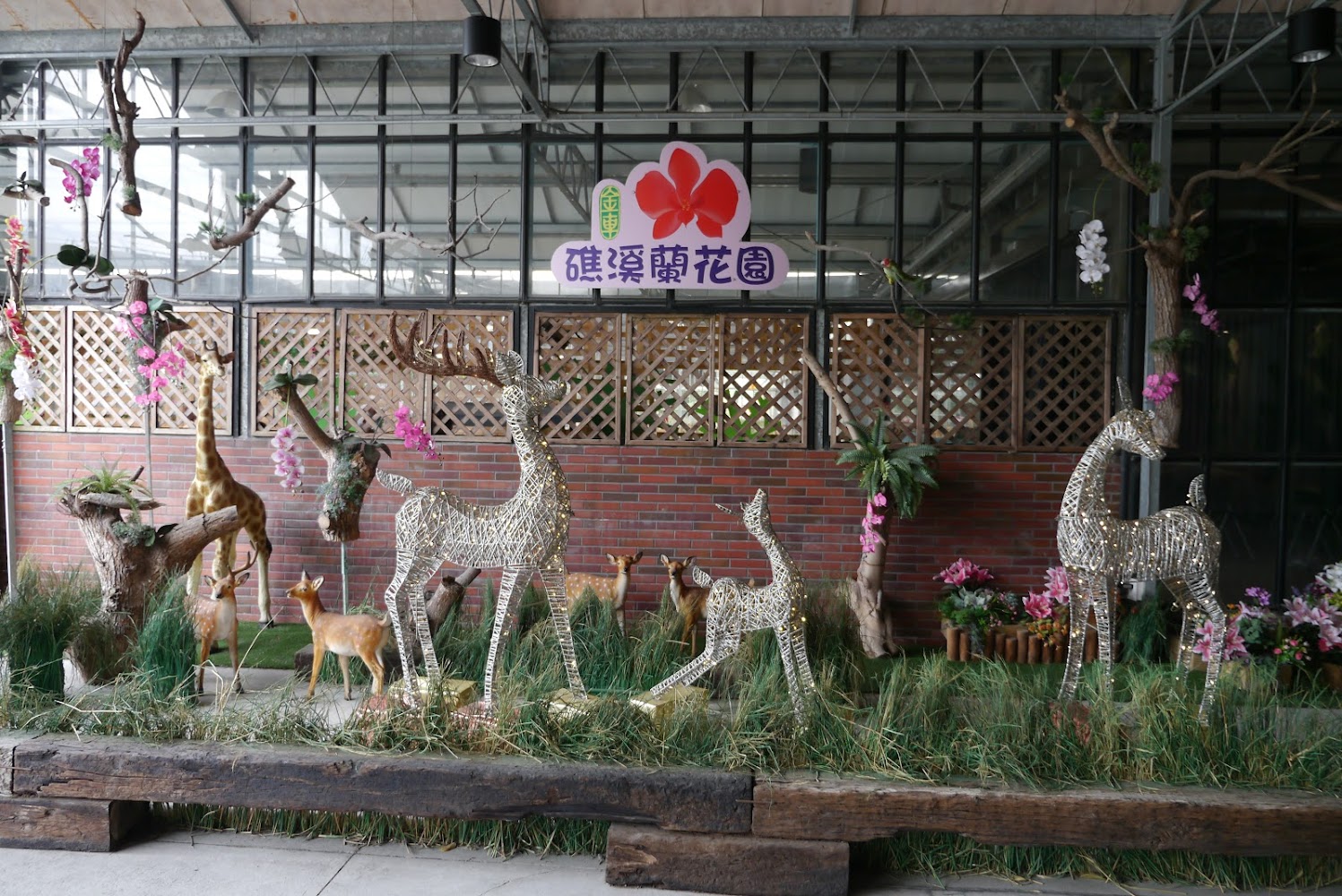 宜蘭親子景點不踩雷！避免這常見遊玩誤區