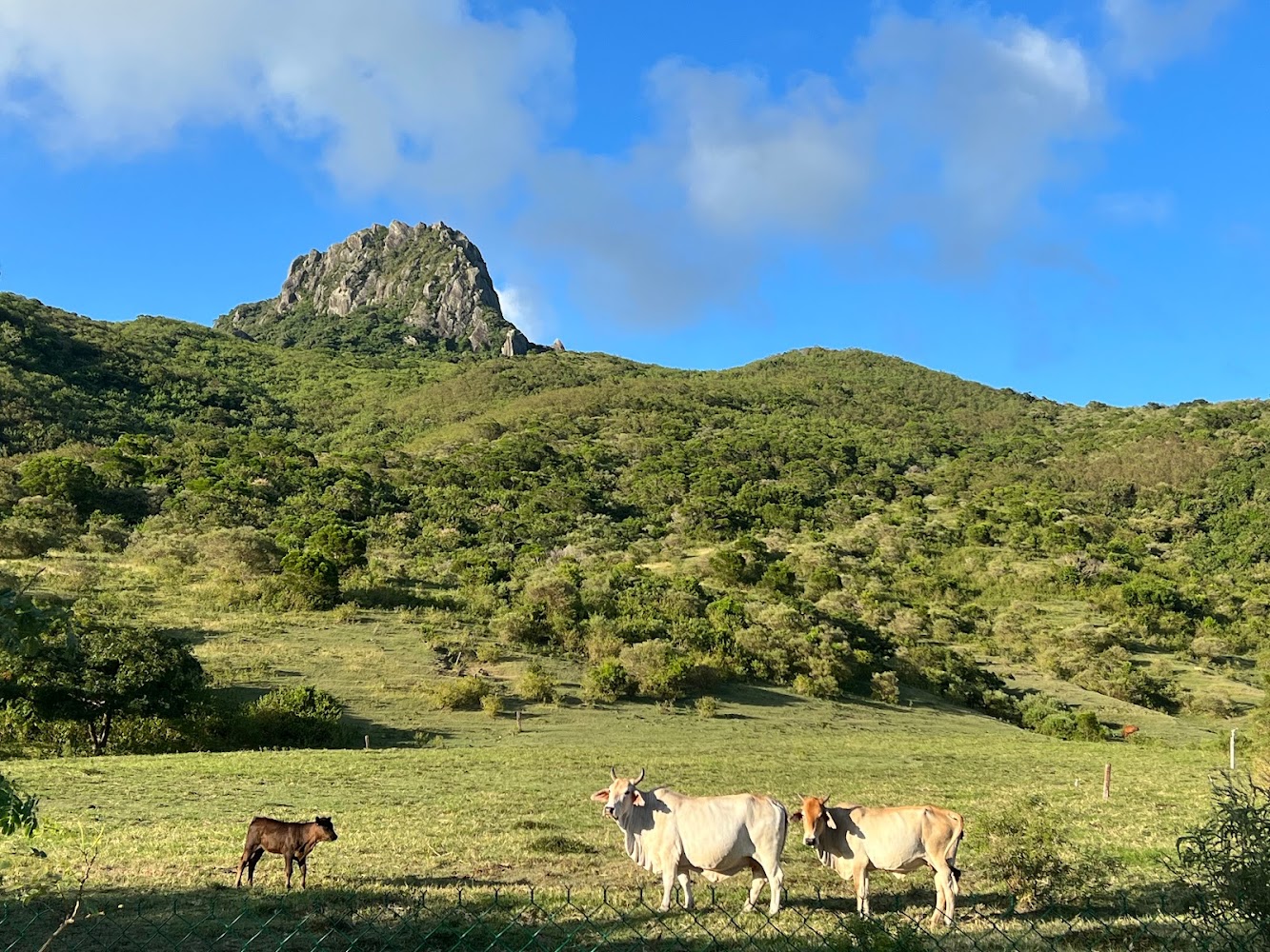 大尖山(大尖石山)